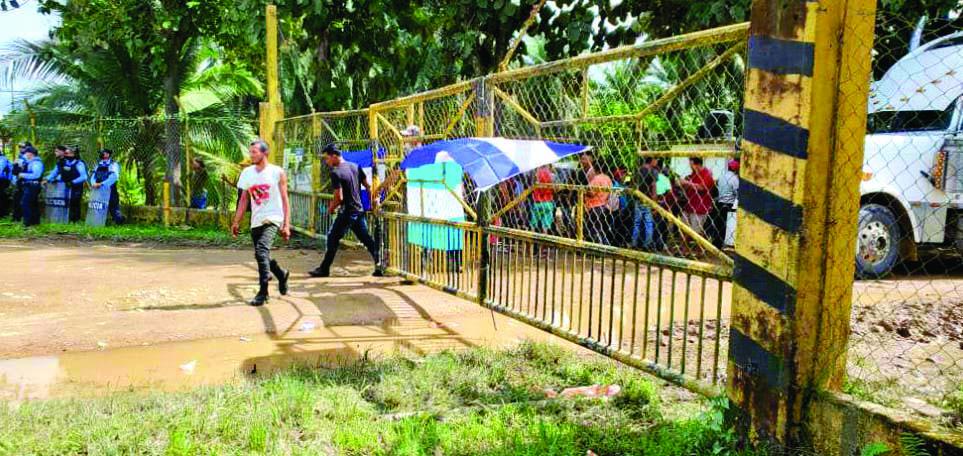 Se agudiza crisis por tomas de fincas en el Bajo Aguán