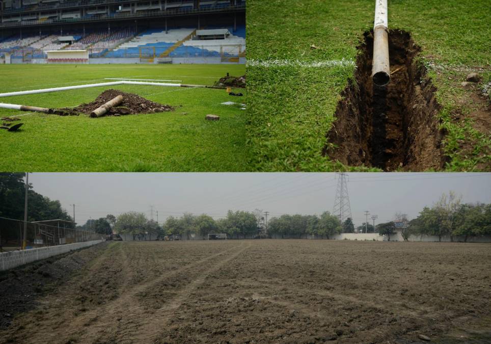 Removiendo y transportando en pequeñas piezas la grama, así comenzó el proyecto del estadio Morazán que concluirá con un nuevo césped híbrido por primera vez en su historia.