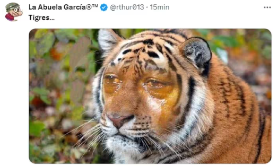 América-Tigres: Los jocosos memes que dejó la final de la Liga MX