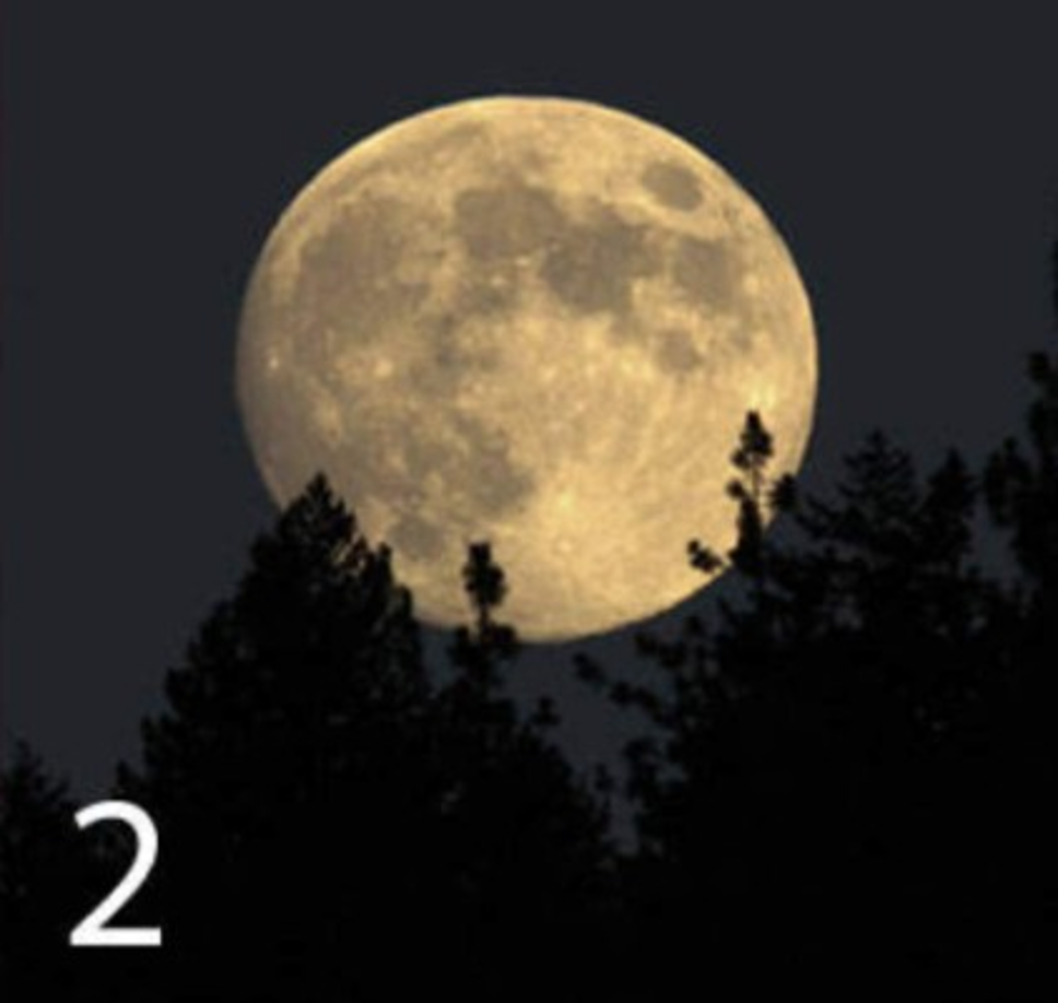 Luna 2: Triunfador<br/><br/>Buscas crecer en todos los aspectos de tu vida, tienes metas a corto, medio y largo plazo. Eres un trabajador admirable, haces hasta lo imposible por demostrar que eres el mejor y mereces lo mejor. Eres muy exigente, especialmente contigo mismo. <br/><br/>Tu mayor dificultad es aprender a organizar tu vida para encontrar el equilibro entre el trabajo y la familia. Recuerda que tus bienes no servirán de nada si no tienes con quién compartir.<br/><br/>En el amor: eres apasionado y sabes elegir a una pareja, pero puedes demorarte mucho. A veces, eliges porque sabes que es la mejor opción, aunque no estés totalmente enamorado. 'Espero enamorarme en el camino', piensas. Sabes amar con la cabeza, pero no olvides al corazón.