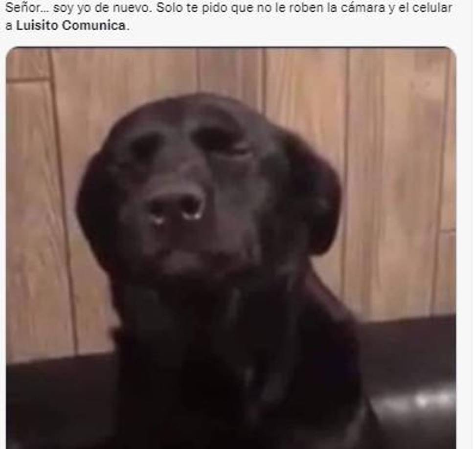 Los mejores memes tras la llegada a Honduras de Luisito Comunica