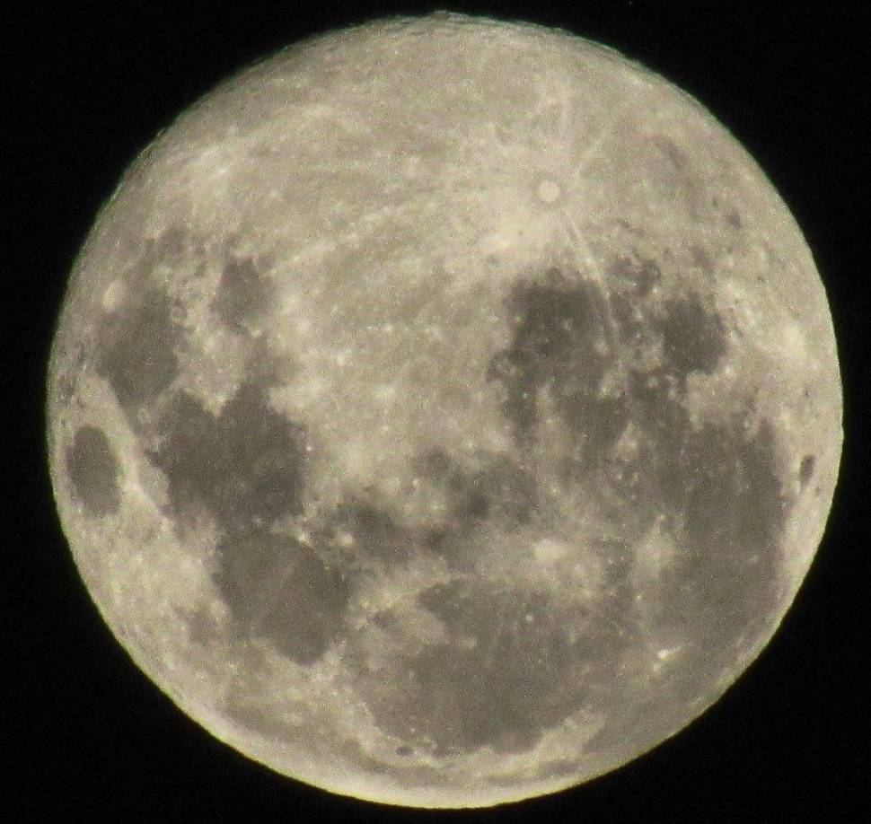 Además de “Luna de Castor”, otros nombres tradicionales reflejan el entorno natural y la adaptación de los animales al invierno.