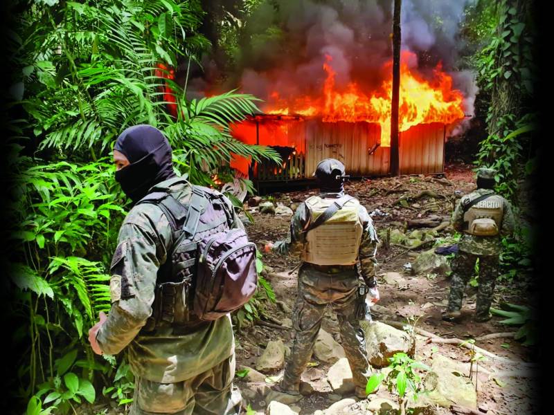 Los grupos delictivos tienen como sus feudos las zonas donde hacen sus siembras de coca porque a sus pobladores los obligan a que se sometan a su reglas.