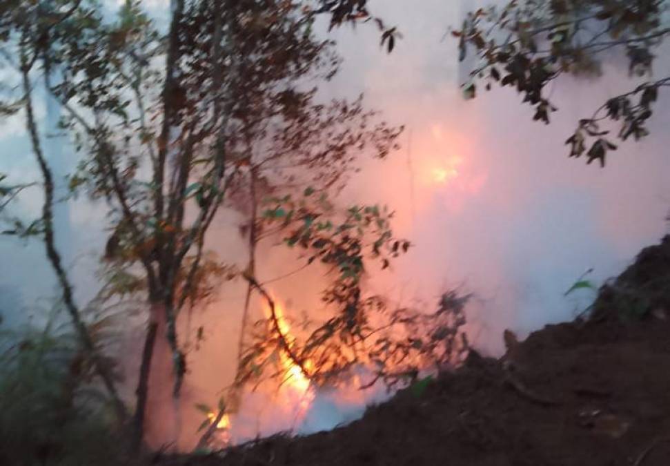 Incendio en el Cusuco: más de 20 hectáreas se han quemado en la zona protegida