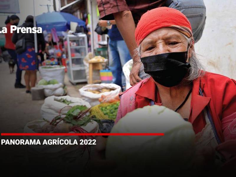 Proyectos diluidos entre la corrupción y la burocracia.