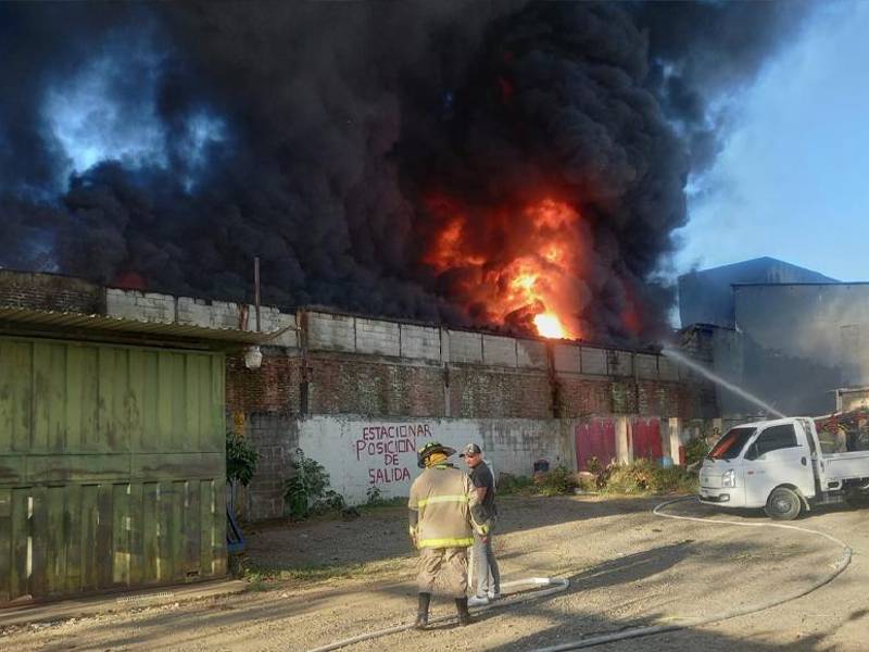 Bomberos trabajando en la zona para lograr disuadir las voraces llamas.