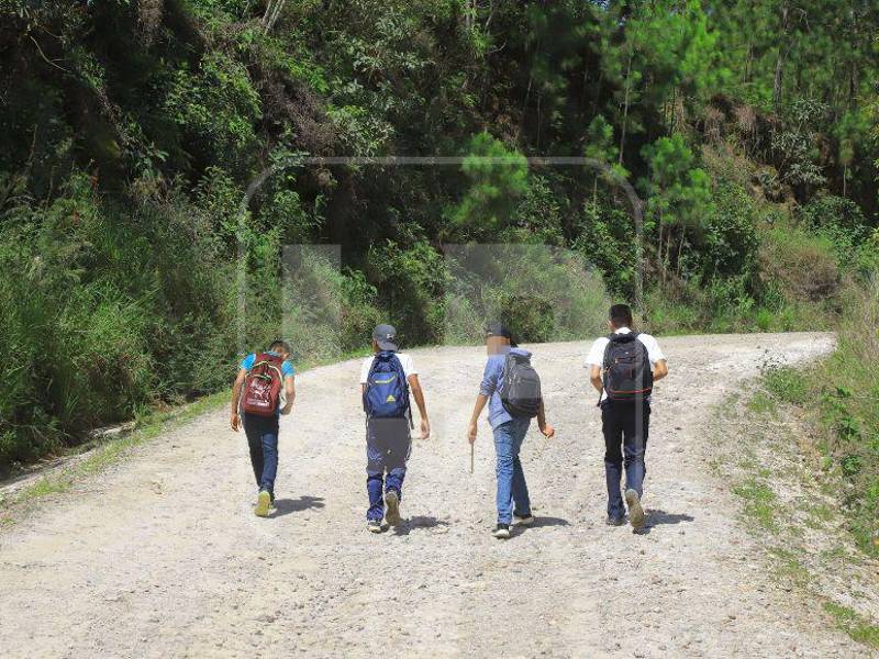 Estudiantes caminan hasta cuatro horas para movilizarse entre su escuela y viviendas en Gualcince.
