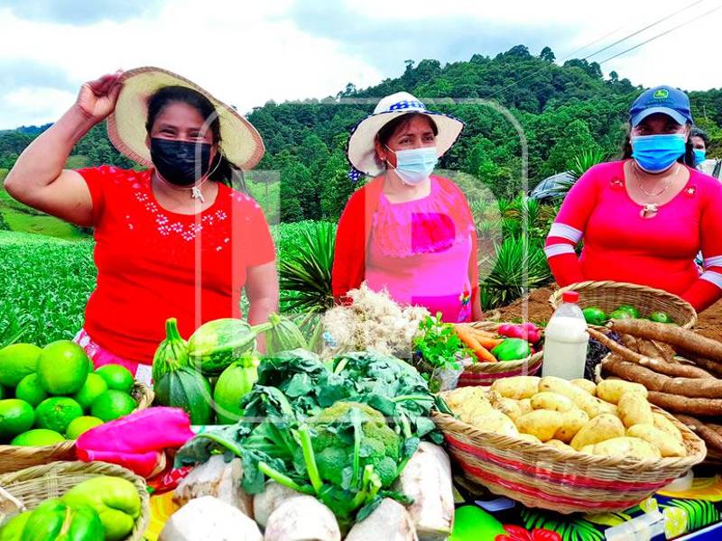A través de todas sus agencias, Naciones Unidas promulga la equidad de género y el empoderamiento de la mujer. Fotos: Jessica Figueroa