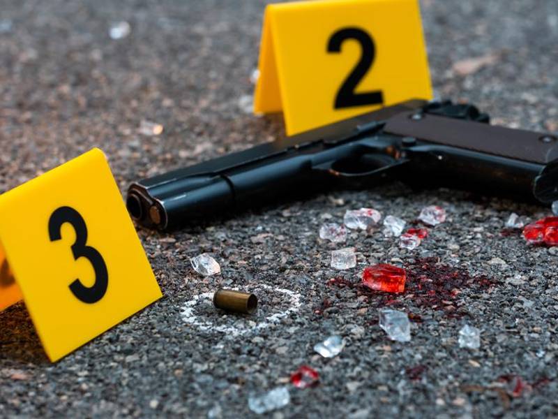 La ausencia de un verdadero control de armas ha contribuido a estos eventos mortales. La mayor parte de estos hechos se desprenden de situaciones de violencia y disparos al aire durante festejos.