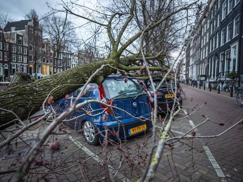 Un árbol yace sobre varios automóviles en Keizersgracht, en el centro de Ámsterdam.