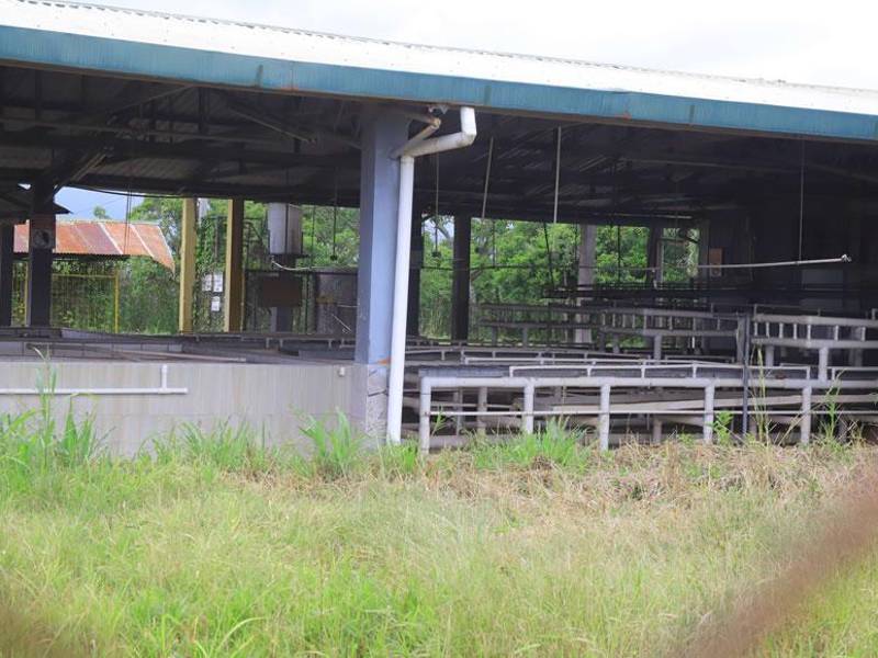 En la desolación se encuentran las empacadoras de banano en Higuerito. Fotos: Franklin Muñoz.