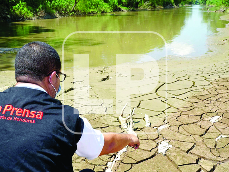 Periodistas de Diario LA PRENSA constataron que el río Guaymón en Tela ha perdido profundidad y anchura en varios tramos del cauce producto de la acumulación histórica de sedimento. Eta y Iota agregaron una capa mucho más gruesa.