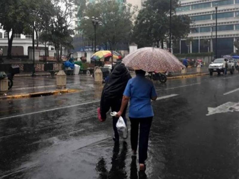 En Honduras los departamentos más productores de granos básicos son Olancho, El Paraíso, Yoro, Comayagua, Atlántida, entre otros. Imagen archivo de La Prensa.