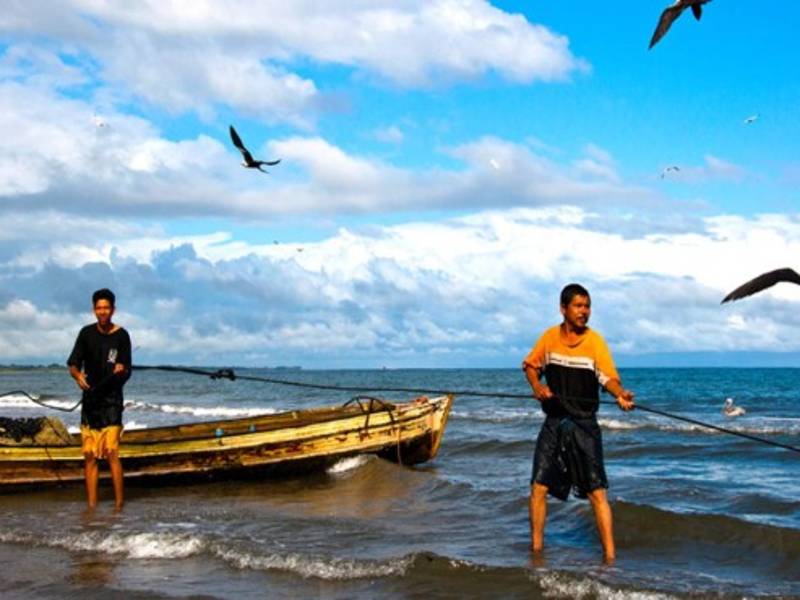 La campaña 'Pescando para la vida' busca también asegurar el futuro de los recursos marino-costeros de Honduras y de los hogares que dependen de ellos. Imagen ilustrativa