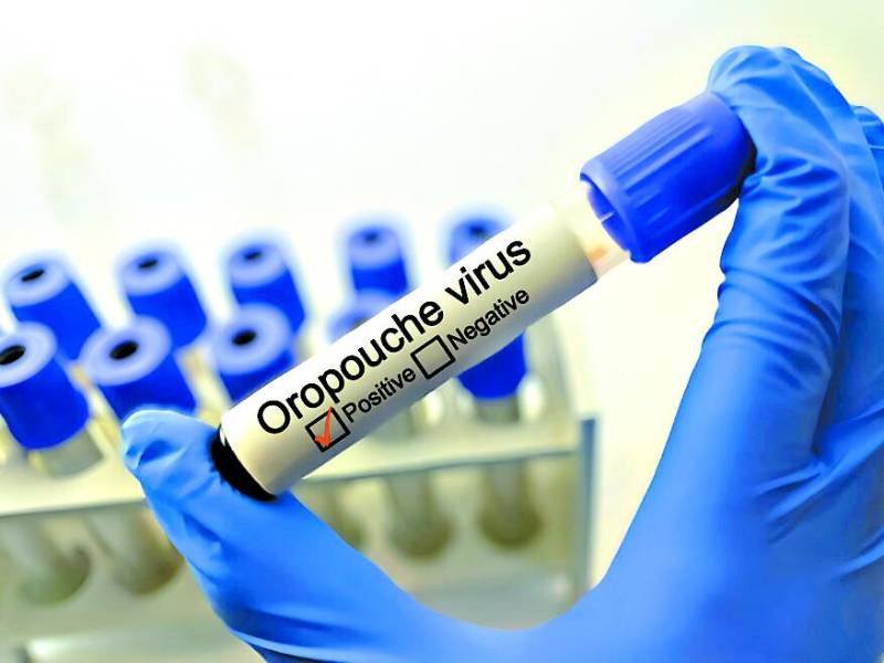 <b>El manejo de prevención es similar al dengue, por lo que los médicos hacen un llamado a la población a mantener limpios y secos los lugares para evitar la proliferación de los mosquitos.</b>