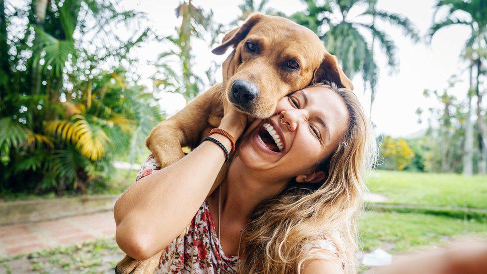 ¿Pueden los perros detectar enfermedades?, su comportamiento podría revelarlo