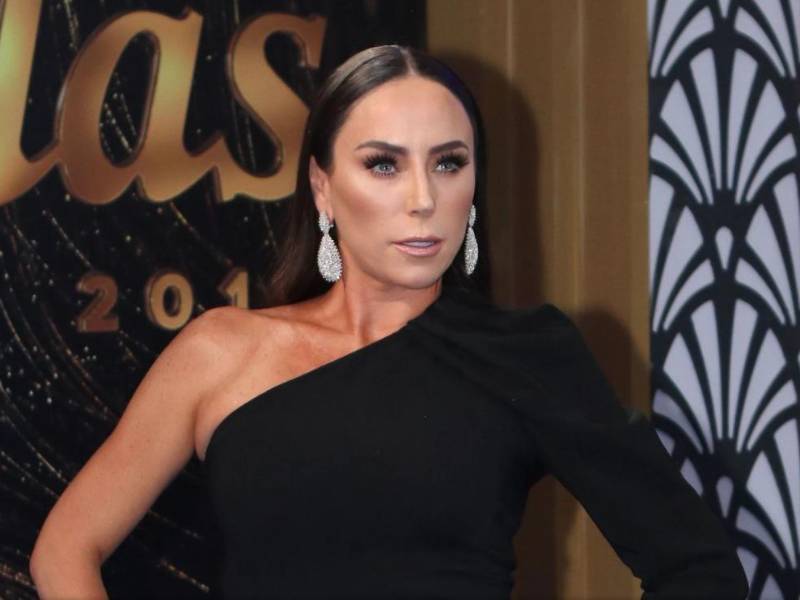 La conductora mexicana Inés Gómez Mont alega que es inocente.