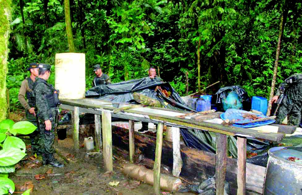 Destruyen narcolaboratorios y cultivos de coca y marihuana