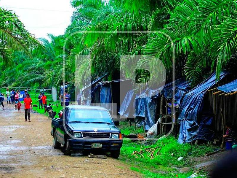 <b>Desde hace ocho meses, los campesinos tienen invadida la finca Cauca en el Bajo Aguán. </b>