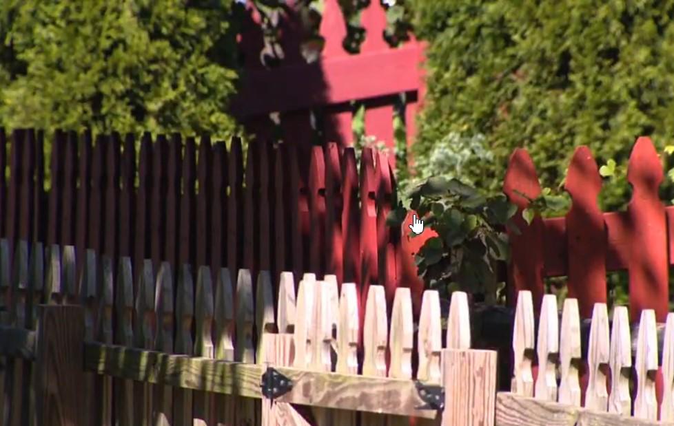 Álvaro y la espeluznante forma en que mató a su hermanita de ocho meses en Virginia