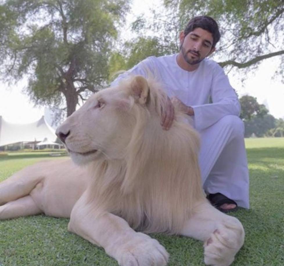 Sin embargo, los cables sobre Fazza desaparecieron a los pocos días de la página web de la organización de Julian Assange. <br/>