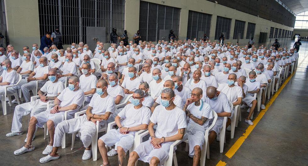Pandilleros de la MS-13 revelan los sitios y cómo mataban a sus víctimas en los inicios de Bukele