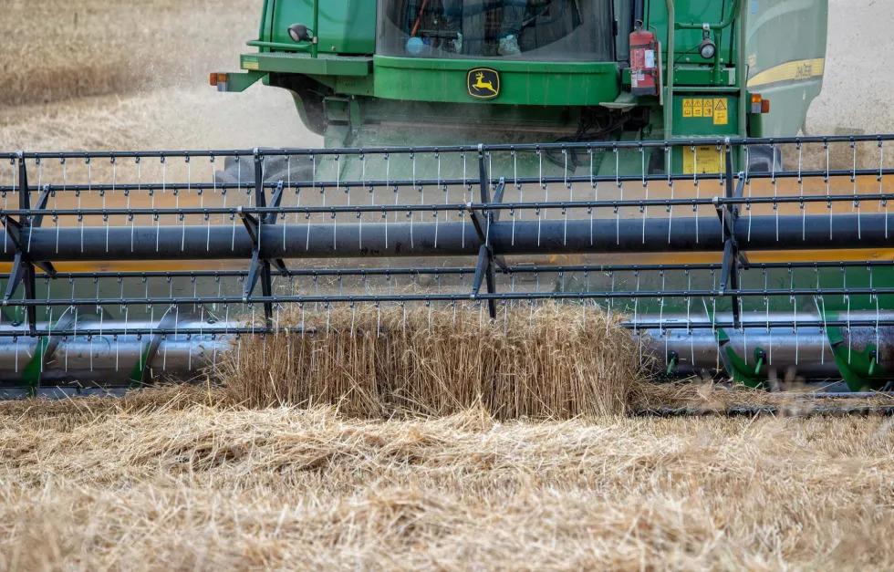 Rusia considera “complicado” renovar acuerdo de cereales con Ucrania