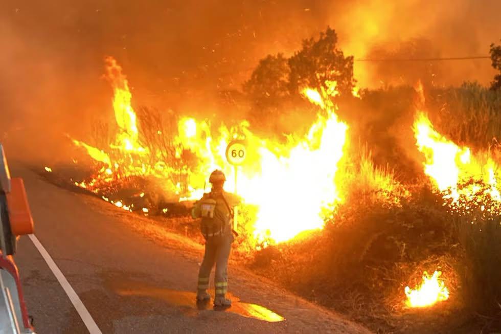 Incendios en España ponen en alerta a miles de hondureños que viven en Madrid