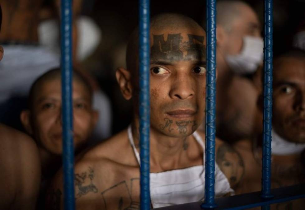 'Cuál negociación, cuáles beneficios, no tenemos nada', dijo a la AFP otro pandillero de la MS-13 en la cárcel de Quezaltepeque, 20 kms al norte de San Salvador.