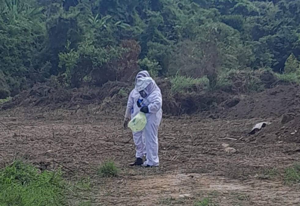 El topógrafo y su sobrino estaban midiendo un terreno para construir “una bodega y cerca había un panal de abejas, mi tío no se fijó y después no pudo escapar de ellas”, explicó.