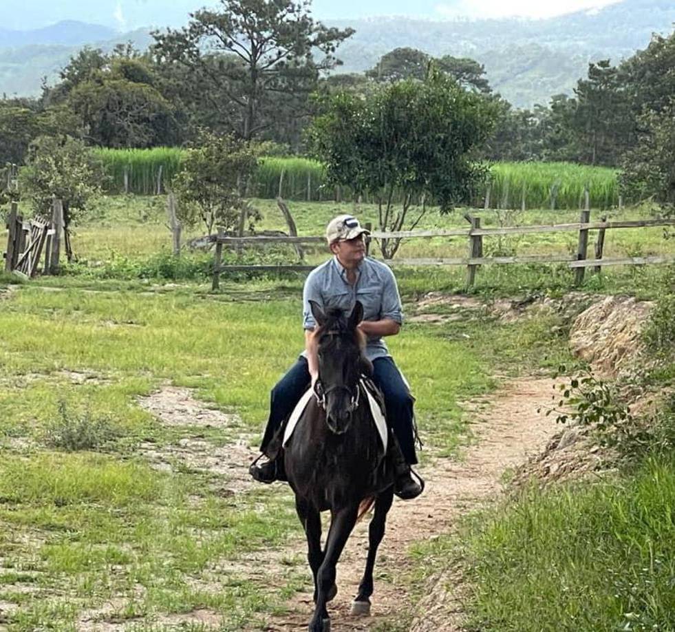 La afición de Juan Orlando Hernández por sus caballos pura sangre, a punto de cambiar de dueños (FOTOS)