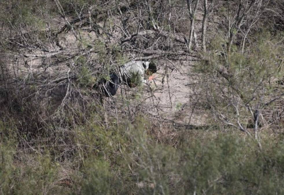 Los indocumentados intentan ocultarse de los agentes fronterizos. El Departamento de Seguridad Nacional reforzó la seguridad en el borde con el envío de 2,000 agentes más para custodiar la frontera.