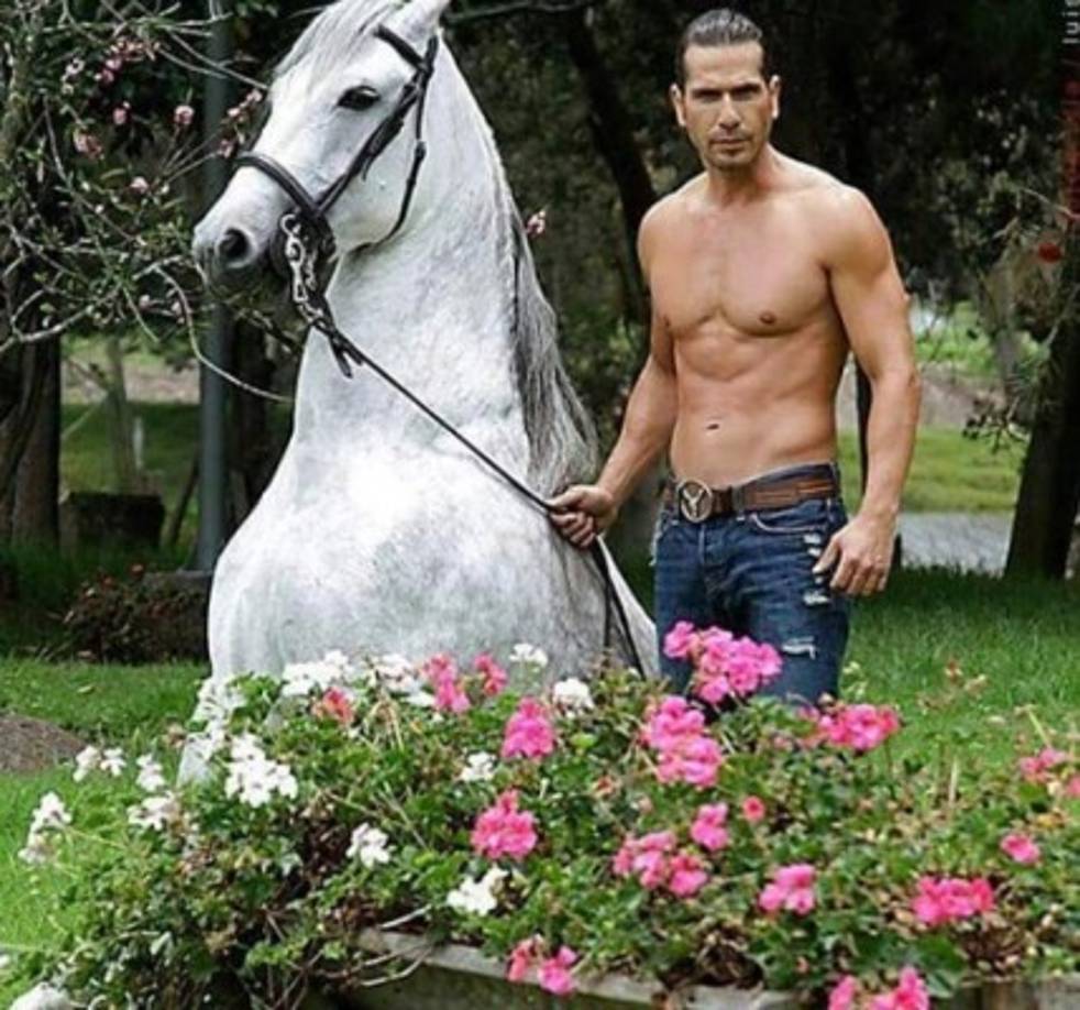 Pernia también ha incursionado en el mundo de la política, ya que fue candidato por primera vez a las Elecciones legislativas de Colombia de 2010 para el senado Colombiano por el Partido Cambio Radical con el número 15 en el tarjetón sacando solo 9,057 votos. <br/><br/>Cuatro años después volvió a ser candidato para el senado Colombiano para las elecciones 2014 con el número de tarjetón 34 por la Alianza Verde (Colombia) sacando una votación levemente mayor con 9,958 votos.