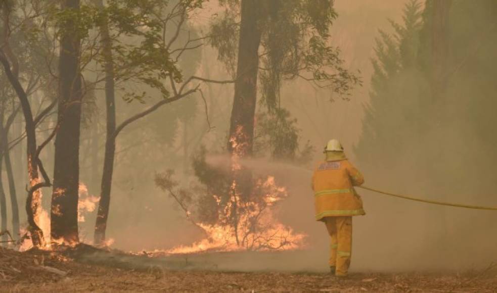 Australia está acostumbrada a los incendios forestales, pero el hecho de que este año llegaran antes de lo previsto y su violencia, junto con temperaturas récord, no han hecho más que aumentar la preocupación por el calentamiento global.