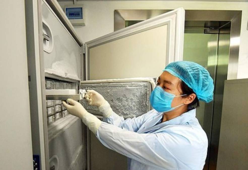 Sin embargo, nuevas imágenes del interior del Instituto de Virología de Wuhan que muestran un sello roto en la puerta de uno de los refrigeradores utilizados para contener al menos 1,500 cepas de letales virus, incluido el coronavirus de murciélago, restan valor a sus afirmaciones en redes sociales.