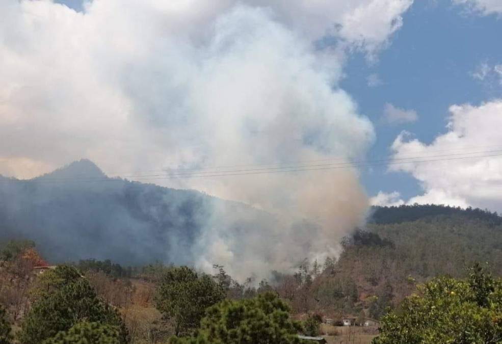 Imágenes del incendio forestal en el Parque Nacional Montaña Celaque