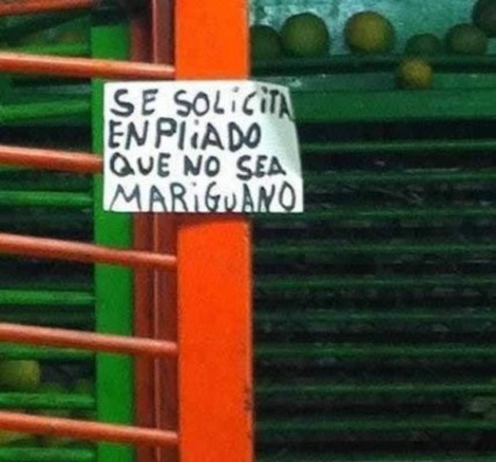 Y ojalá que también sepa deletrear.
