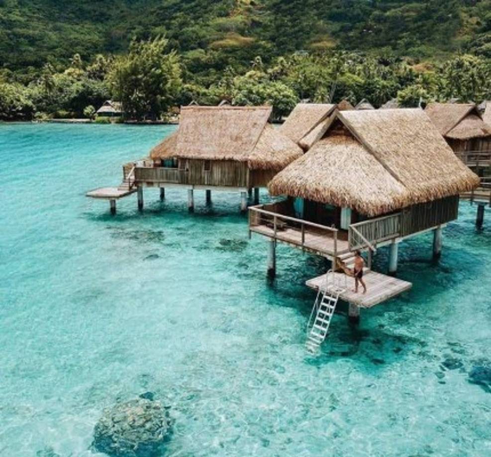 'Ubicado a lo largo de la playa de arena blanca más hermosa de la isla, los colores de las lagunas y la hospitalidad polinesia le garantizarán una magnífica estancia.', promete el hotel en página web.