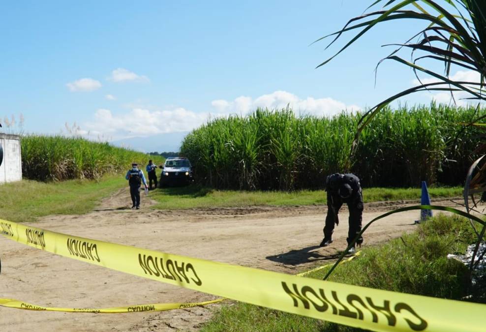 Cortés es el departamento más violento del país, seguido de Francisco Morazán. 