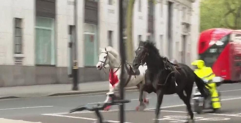 Varios caballos del Ejército siembran el caos en Londres y hieren a cuatro personas