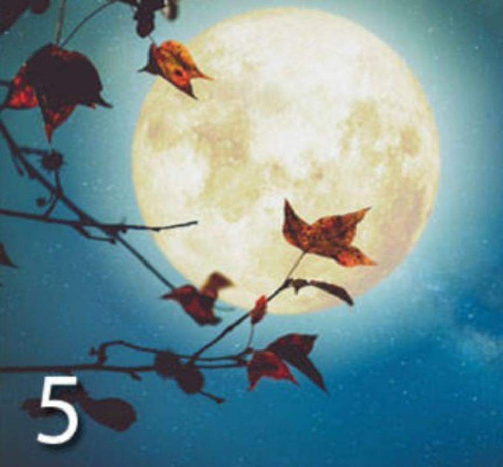 Luna 5: Coherente y equilibrado<br/><br/>Tu característica principal es la coherencia. Tienes un equilibrio emocional envidiable, eres atento, generoso. Tienes ideas muy claras, tanto que a veces tratas de acomodar todo a tu gusto, lo que te hace poco tolerante. <br/><br/>Eres terco, porque sientes que solo tus ideas son las correctas. Tranquilo, combina tu amor al trabajo con confianza y verás que obtendrás mejores resultados. No desprecies ninguna opinión, todas te ayudarán a crecer si sabes discernir.<br/><br/>En el amor: así como eres exigente en el trabajo, lo eres en el amor. Tu pareja debe ser 100% confiable, de lo contrario sientes que estás perdiendo el tiempo. Sabes manejar tus emociones y aunque ames más que tu pareja, siempre tratas de mostrarte como el maduro de la relación.