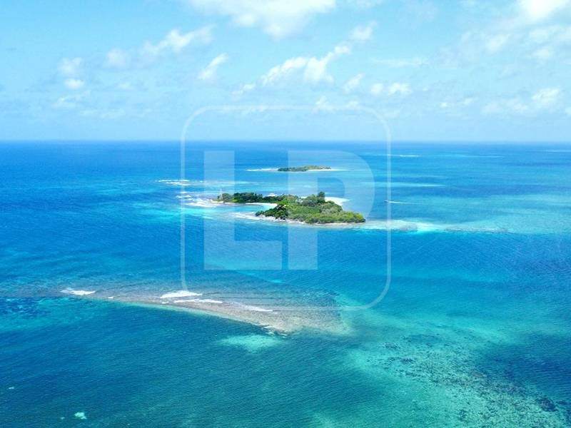 Honduras, Belice y Guatemala se consideran dueños, cada uno, de estos pequeños cayos alojados al sur de la Barrera Coralina de Belice y en medio del golfo de Honduras. La Corte Internacional de Justicia en La Haya, Países Bajos, decidirá de quién son en realidad.