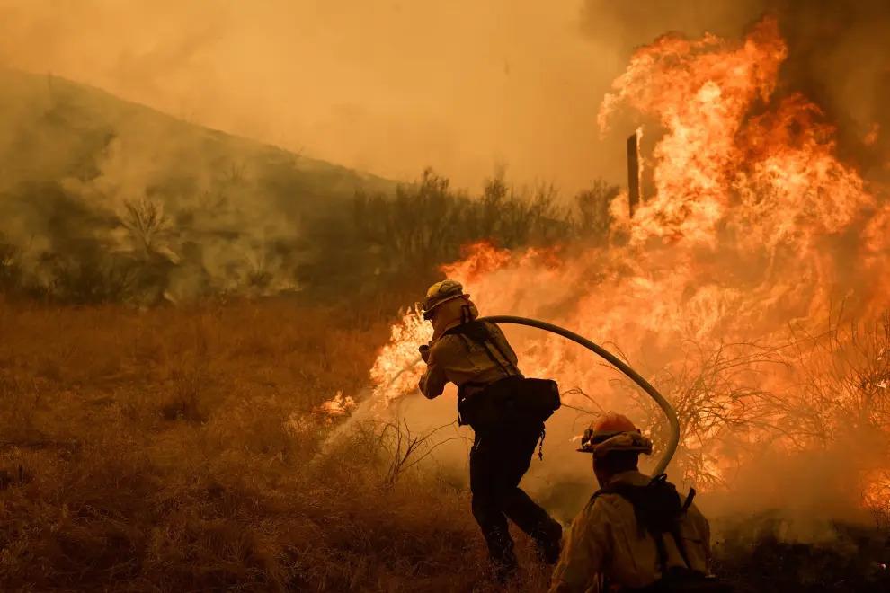 Dos incendios forestales avanzan en el sur de California