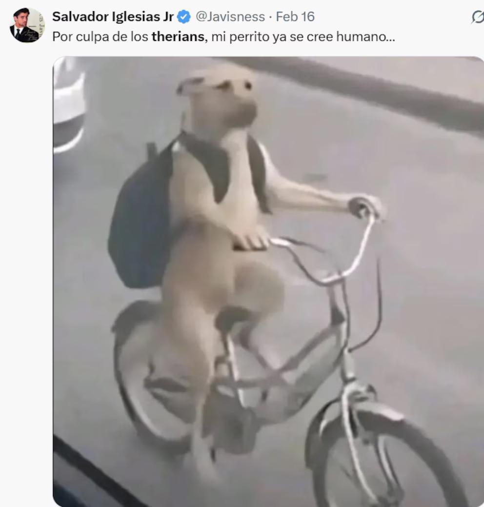 Los memes más divertidos por la tendencia de los Therians