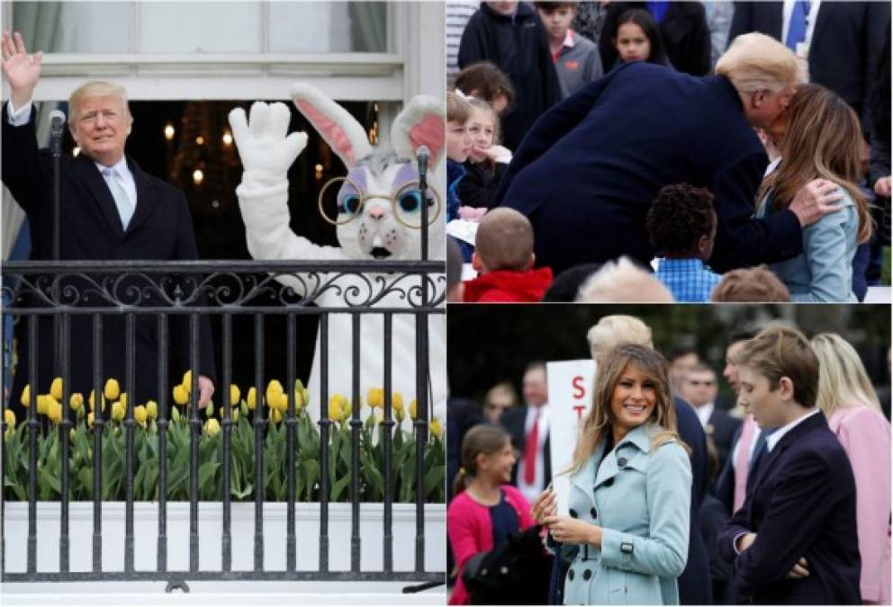 Donald y Melania Trump celebraron ayer la tradicional carrera de Pascua en la Casa Blanca, con cientos de pequeños invitados que disfrutaron de la carrera de huevos, cuentos y el infaltable conejo.