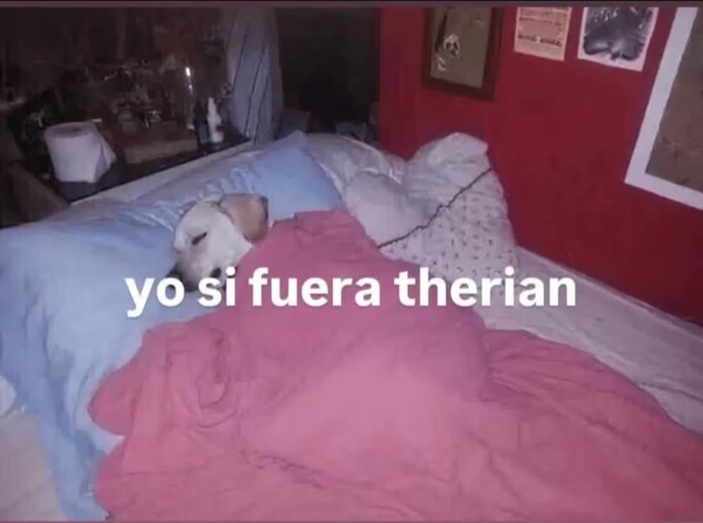 Los memes más divertidos por la tendencia de los Therians