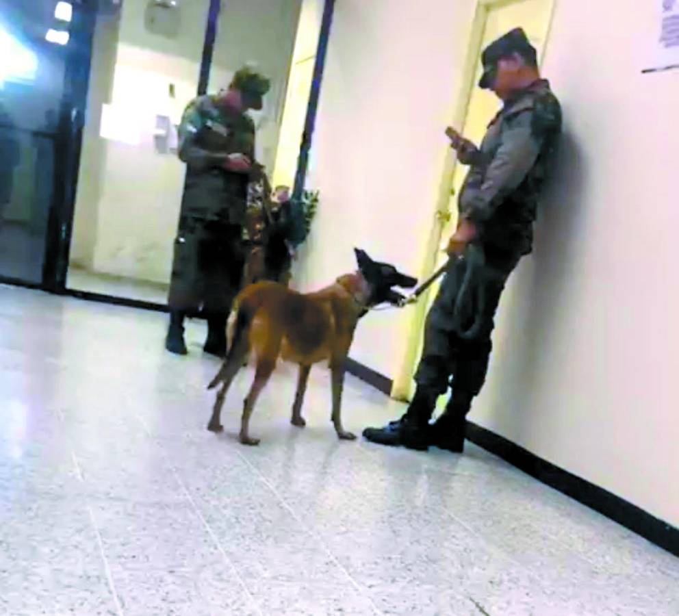 Escuadrones con perros antibombas ingresaron a oficinas de consejeras, en una acción intimidatoria.