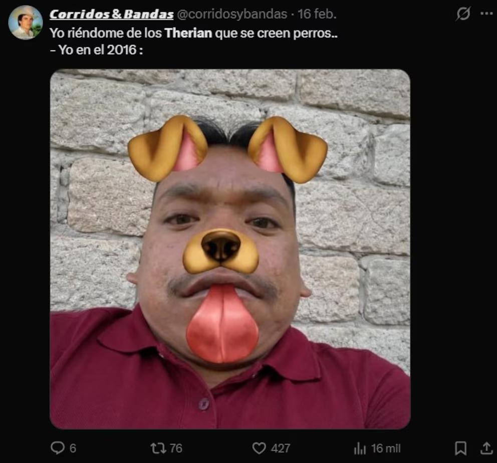 Los memes más divertidos por la tendencia de los Therians