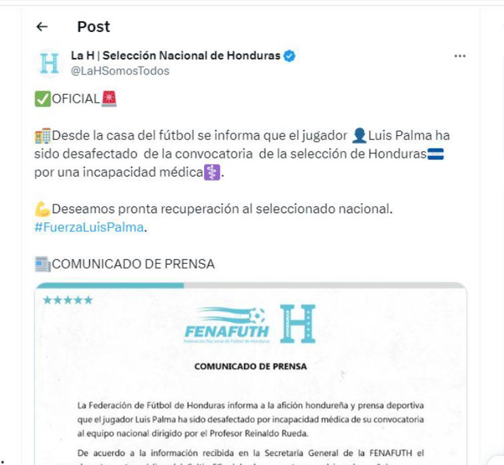 Fenafuth emitió un comunicado donde informó la baja de Luis Palma para el Honduras vs Costa Rica.