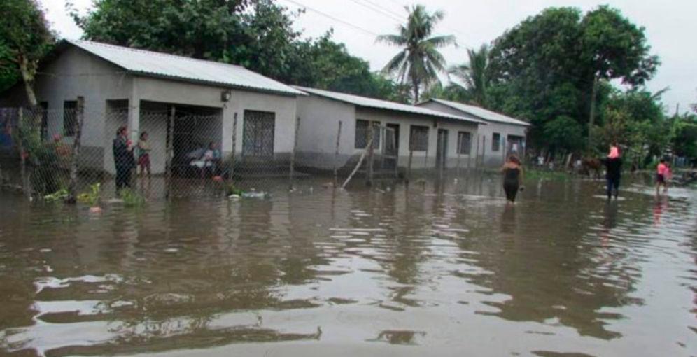 Potrerillos reporta pérdida de cultivos por lluvias